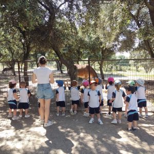 Los peques del cole disfrutan de la granja